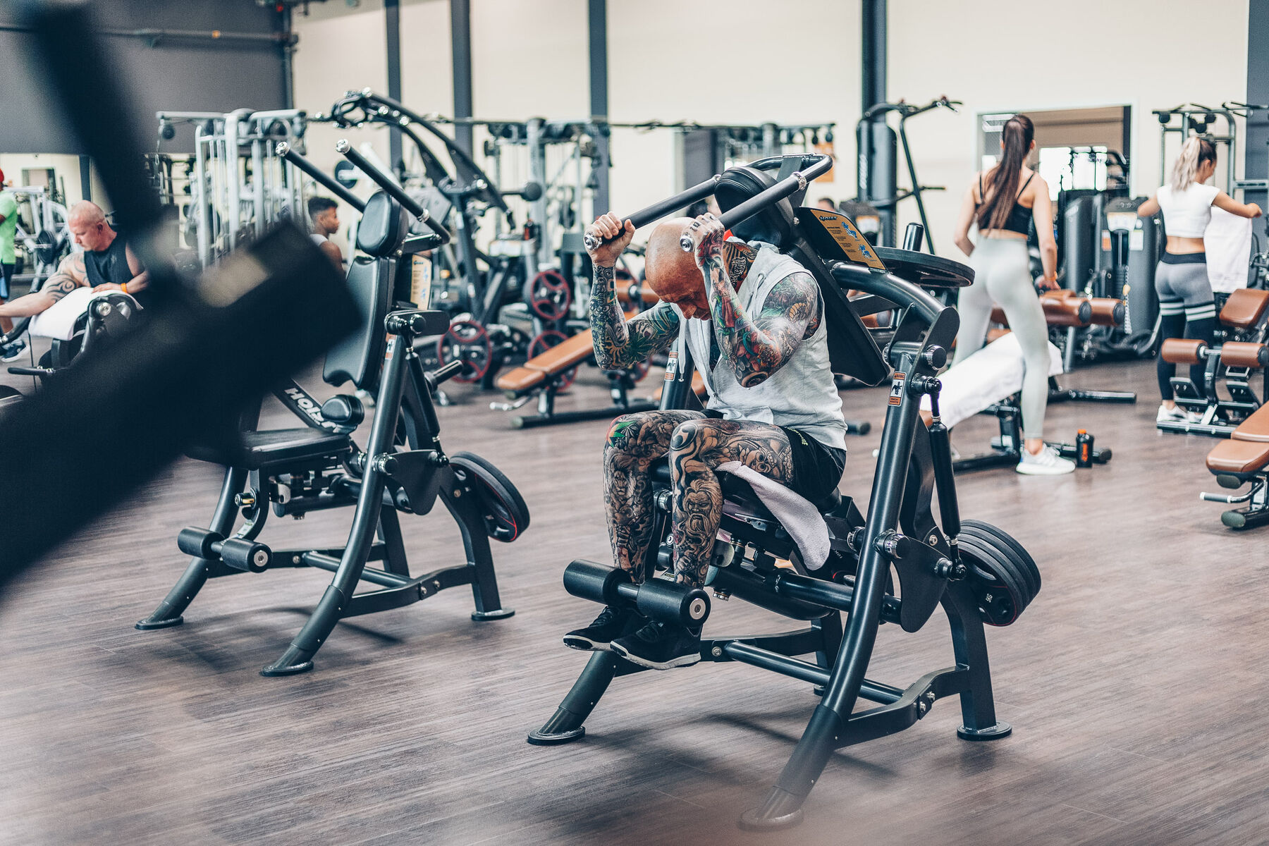 Plate loaded Maschinen