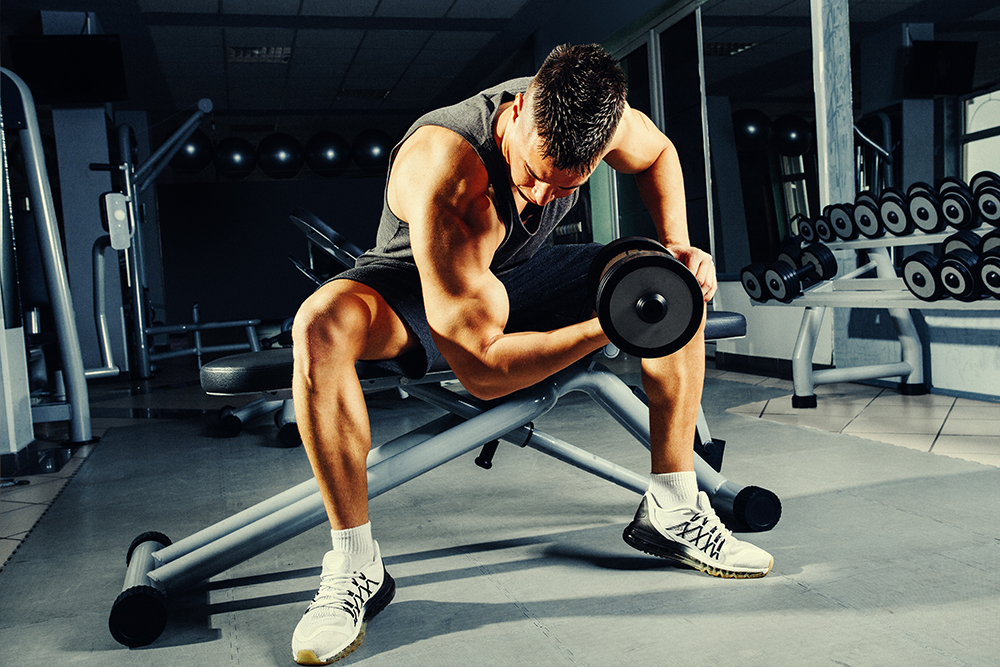 Grundlagen für Muskelwachstum: Was man beim Muskelaufbau unbedingt beachten sollte